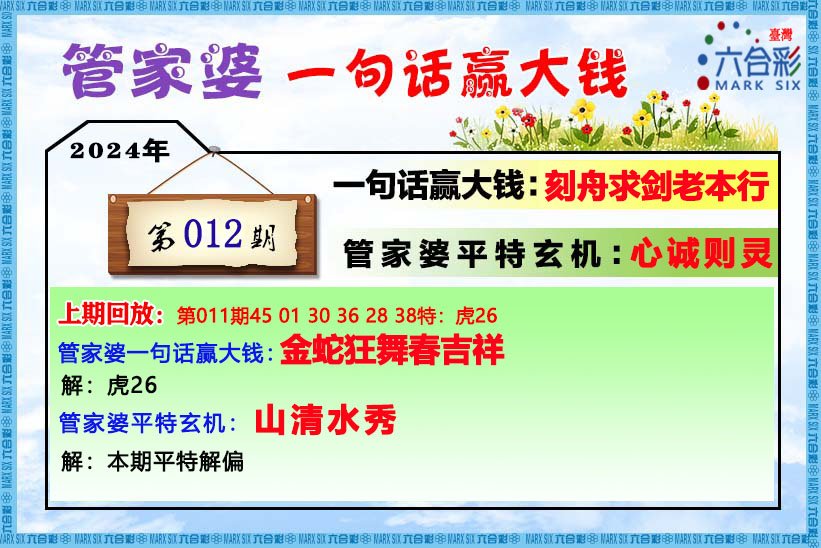 2020管家婆一肖一码,快速解答计划解析_增强版30.876