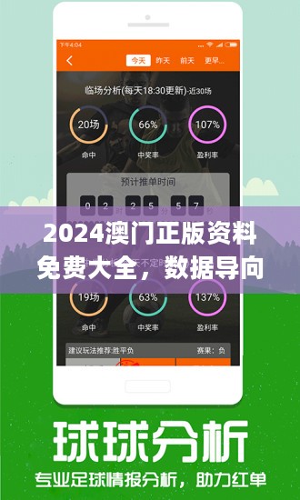 2024年王中王澳门免费大全,数据解析计划导向_XT66.379