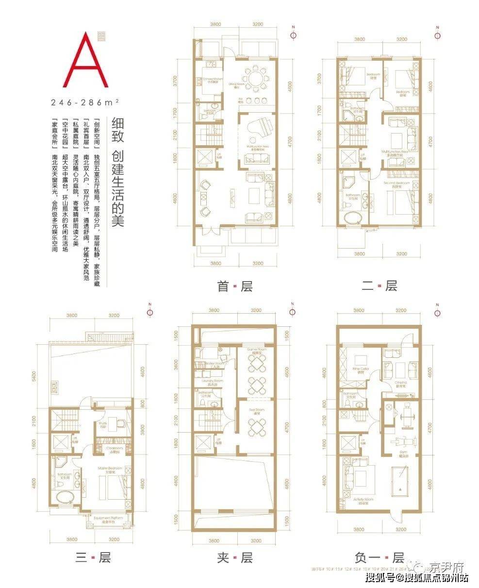 二四六期期准资料免费看,精确分析解析说明_复古款96.919