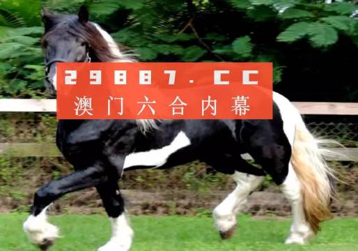 澳门今晚必开一肖一特,重要性解释落实方法_XR10.121