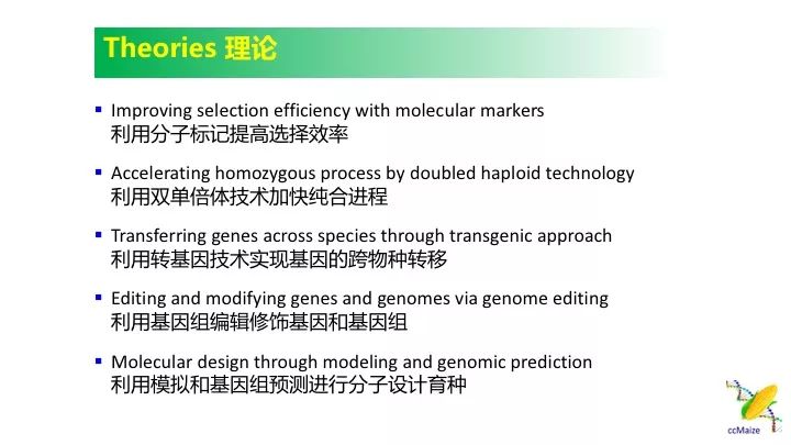 新澳门四肖三肖必开精准,综合性计划定义评估_挑战款98.687